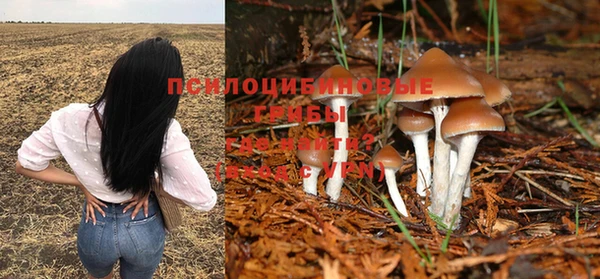 соль курить ск Алексеевка